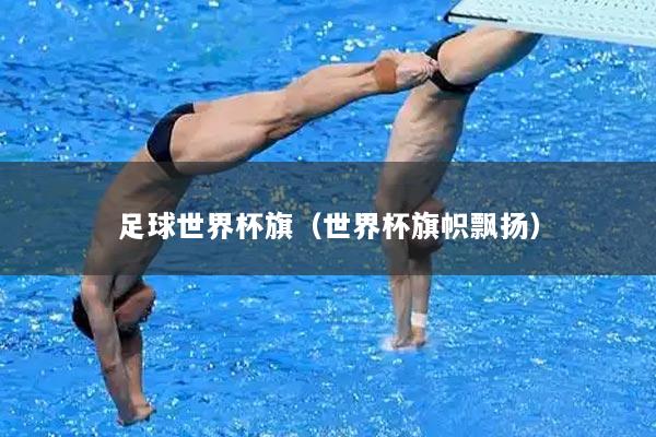 足球世界杯旗（世界杯旗帜飘扬）