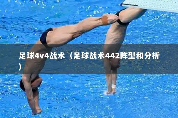足球4v4战术（足球战术442阵型和分析）