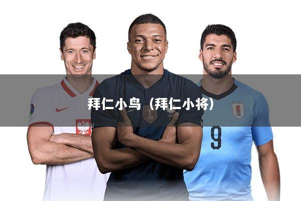 拜仁小鸟（拜仁小将）
