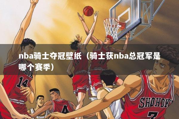 nba骑士夺冠壁纸（骑士获nba总冠军是哪个赛季）